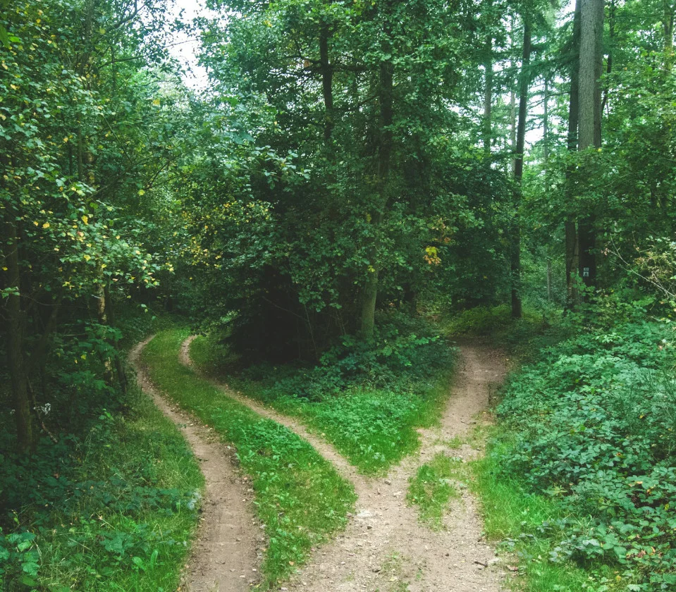 Photo by Jens Lelie on Unsplash