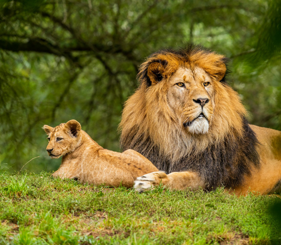 Photo by Zdeněk Macháček on Unsplash