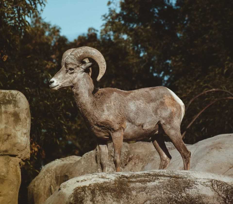 Photo by Jorge Fernández on Unsplash