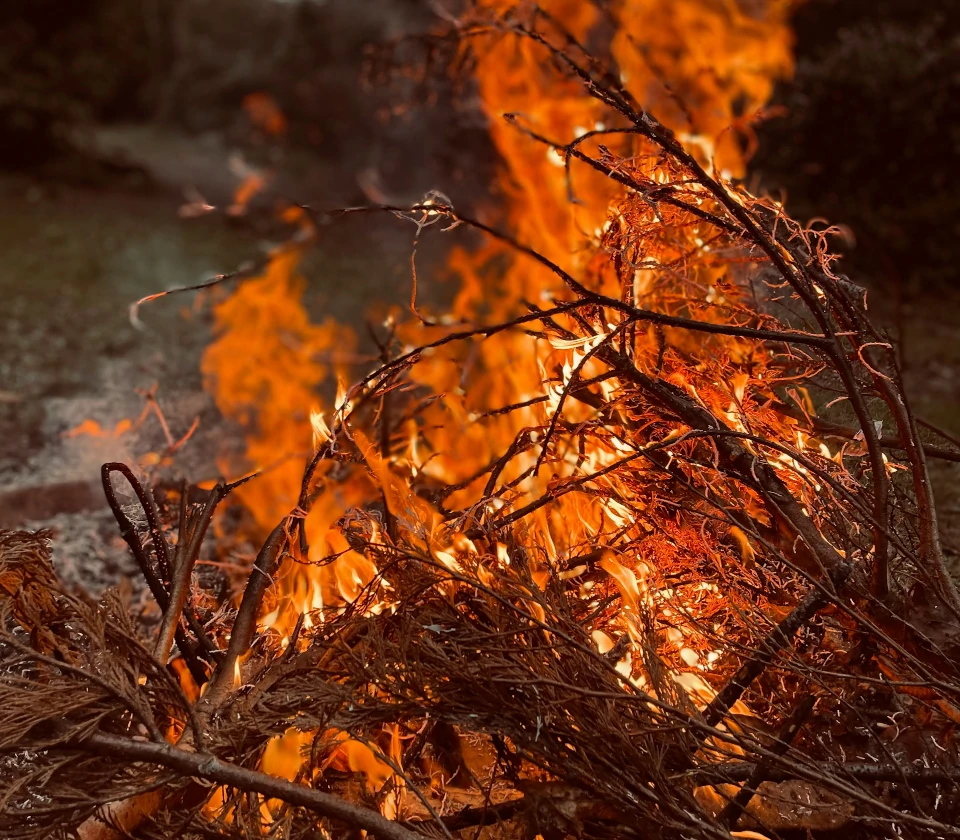 Photo by Johnny Thorpe on Unsplash