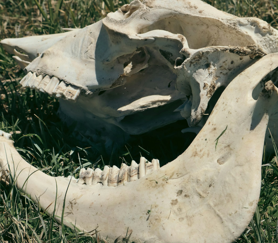 Photo by Allison Astorga on Unsplash