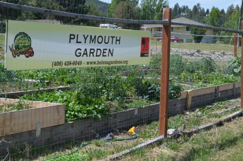 Plymouth partners with Helena Community Gardens